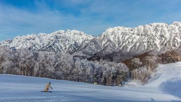 スノー スポーツとスキー / 4