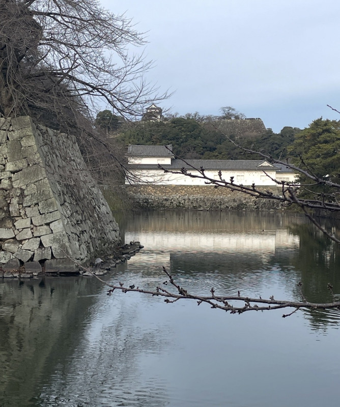 ホテルの目の前は彦根城