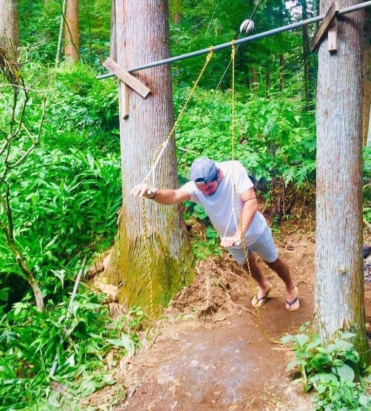 テラス / パティオ