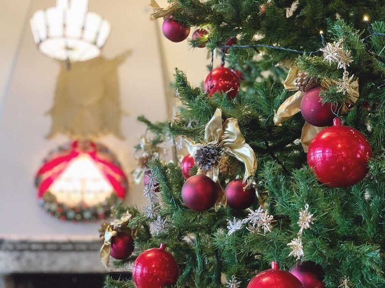 suzuranribbonさんの写真 / 2