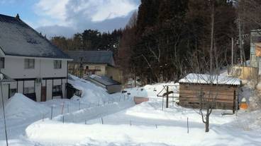 ペット同伴可 / 12