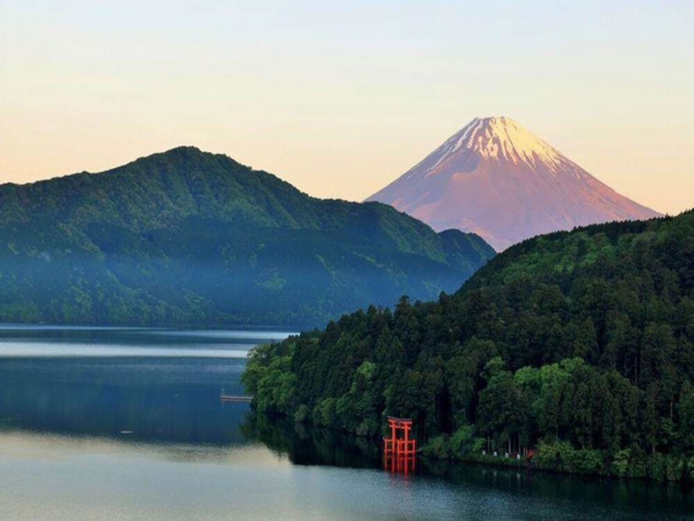 観光スポット