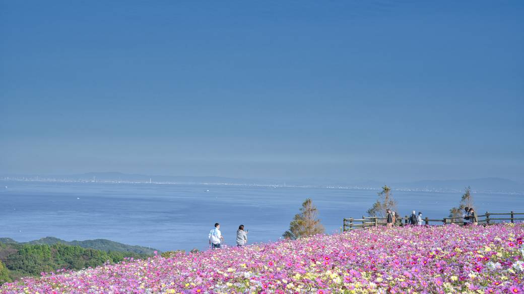 あわじ花さじき / 2
