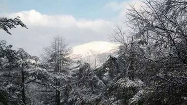 マウンテン ビュー / 6