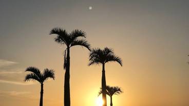 施設からの眺望 / 27