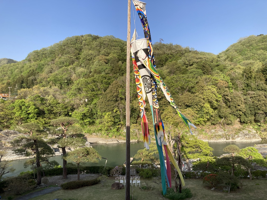 客室からの眺め
