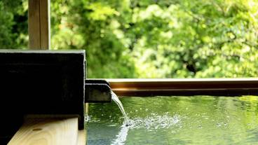 松尾芭蕉にも愛された名湯 / 3