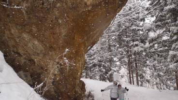 スノーシュー / 12