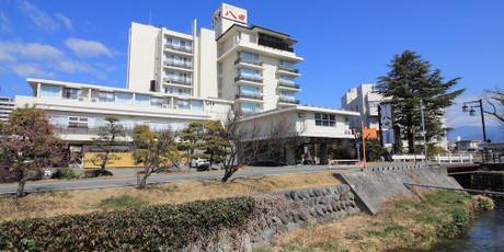 石和温泉 美と健康と癒しの宿 ホテル八田