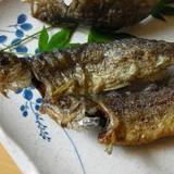 有馬ます池(アリママスイケ)