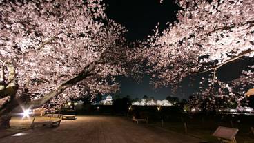 観光スポット / 9