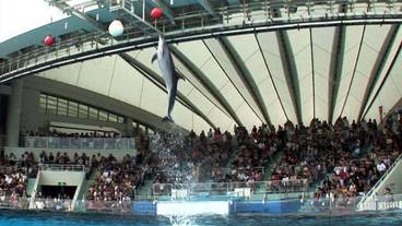 観光スポット / 14