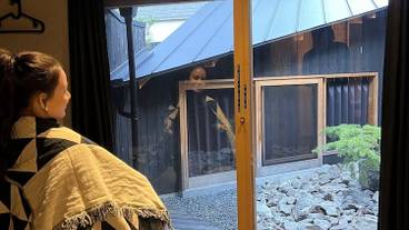 テラス / パティオ / 4