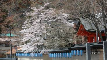 施設からの眺望 / 13