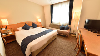 スーペリアダブルルーム クイーンベッド1台 パークビュー 禁煙 (24 sqm)