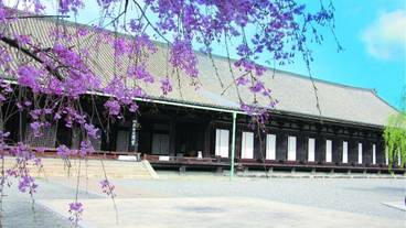 観光スポット / 10