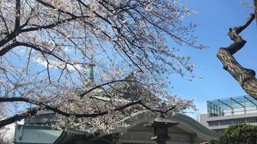 観光スポット / 9