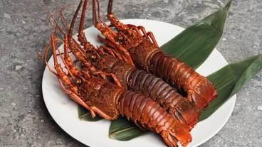 食事・飲み物 / 37