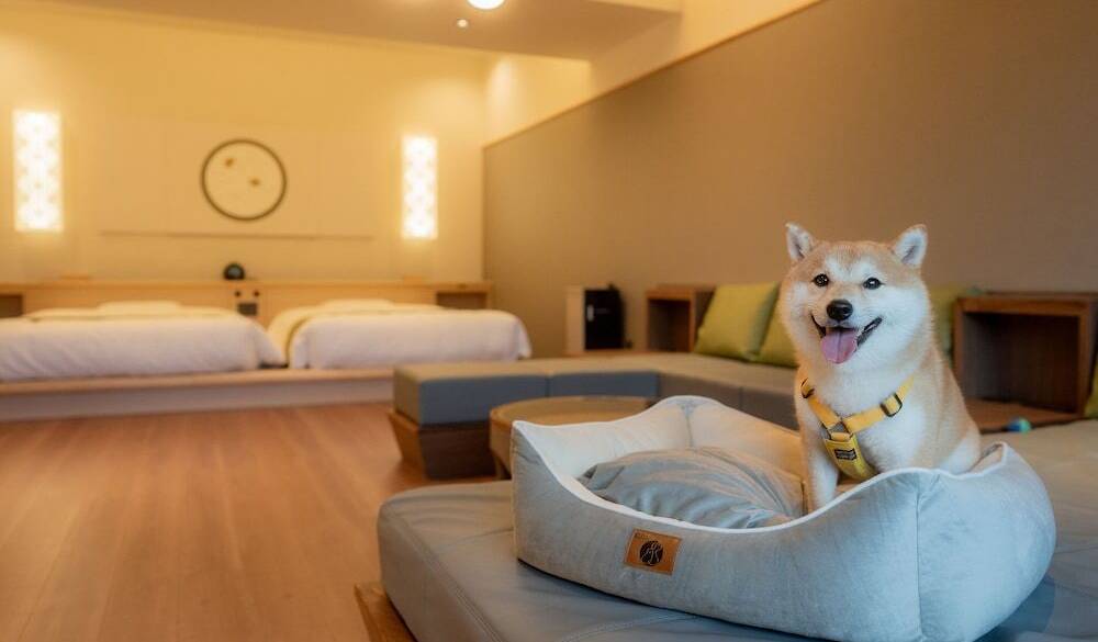 別邸／ワンちゃんOKルーム / 4