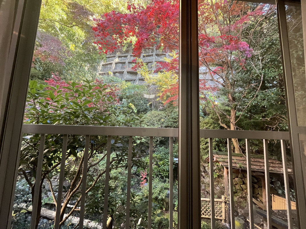 恐らくこの部屋だけの眺望