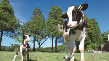 観光スポット / 5