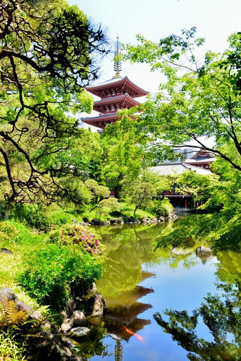 浅草寺954023
