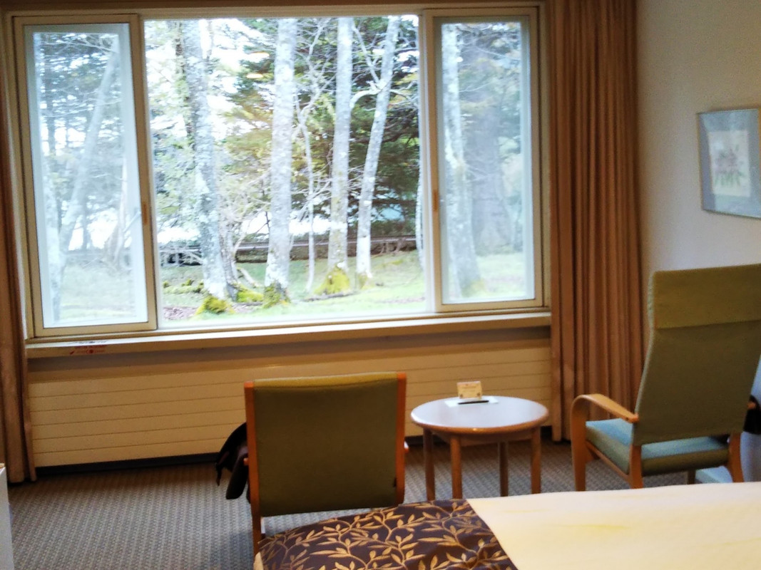 部屋から白樺の林と遊歩道越しの湯ノ湖を望む