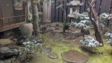 ガーデン ビュー / 27