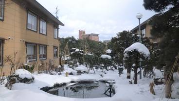 日本庭園 / 26