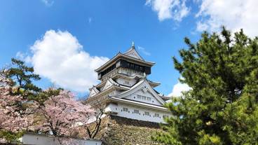 観光スポット / 7