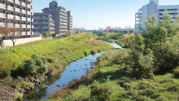 施設からの眺望 / 3