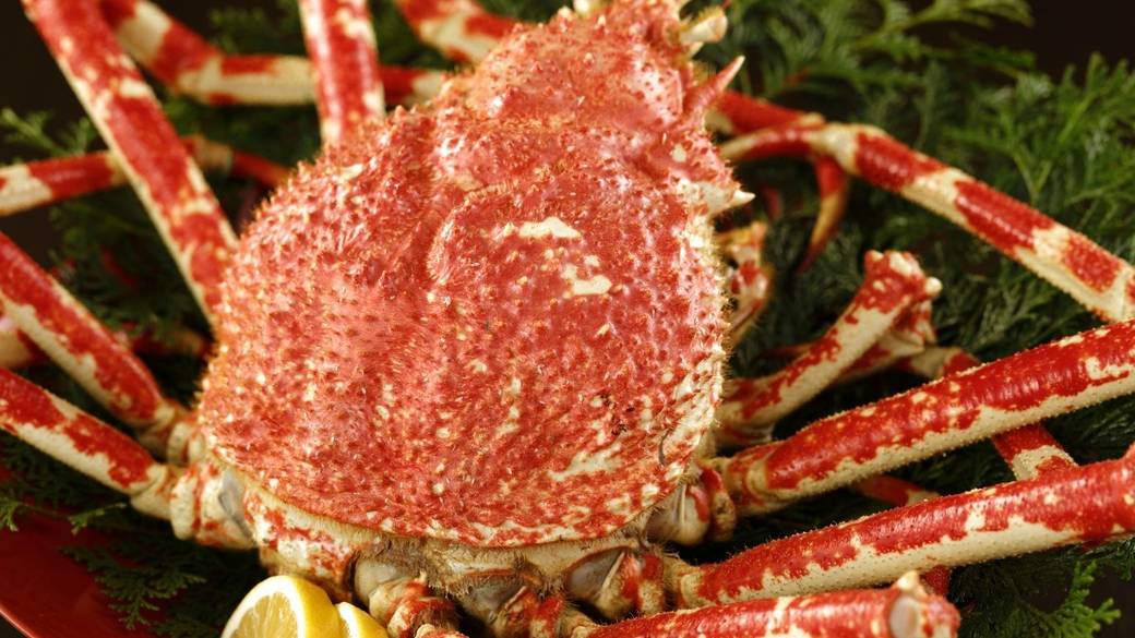 別注料理 タカアシガニ / 5