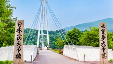 九重“夢”大吊橋 / 5