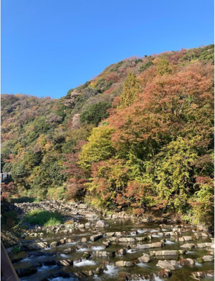 ftnuiinuさんの写真 / 5