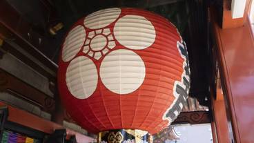 シティ ビュー / 13