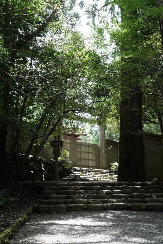 liho____.__iさんの写真 / 4