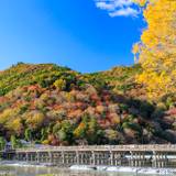 風光明媚な嵐山で
ゆったり散策デート / 1