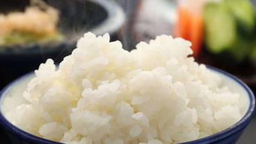 食事・飲み物 / 10