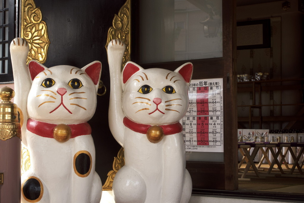 境内にはたくさんの招き猫たちが894986