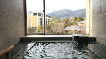 箱根翡翠（ハコネヒスイ） / 4