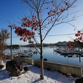 白浜 温泉リゾート 海岳（和歌山県 リゾートホテル） / 4