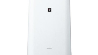 部屋売 4ベッド 添い寝無料 禁煙