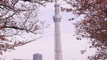 観光スポット / 5