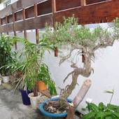 1日1組限定の宿 ゆくいる（沖縄県 民宿） / 5