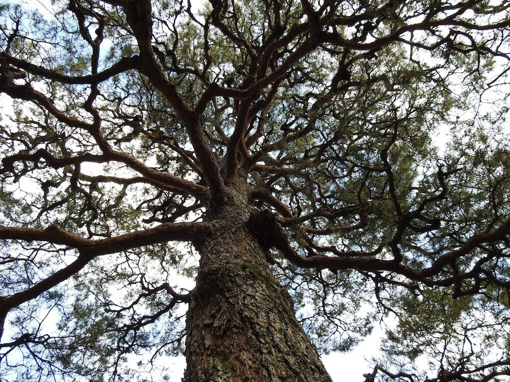 施設からの眺望