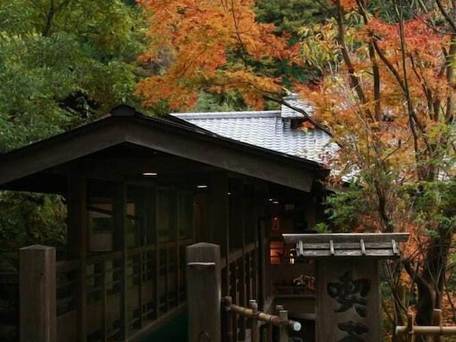 黒川温泉 夢龍胆 / 5