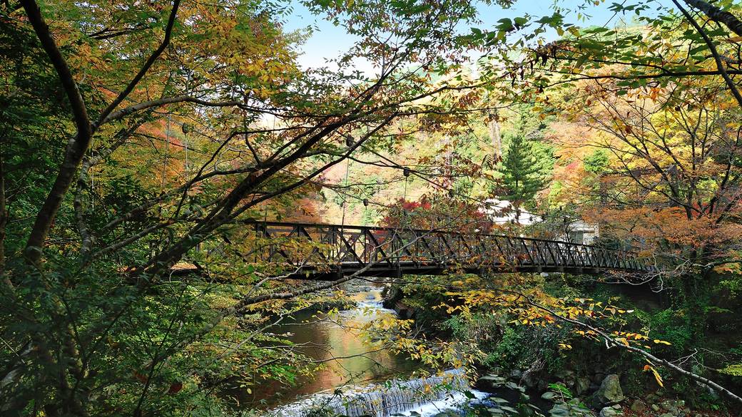 もう少しいたいな…
というのが本音 / 2