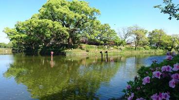 ランド ビュー / 35