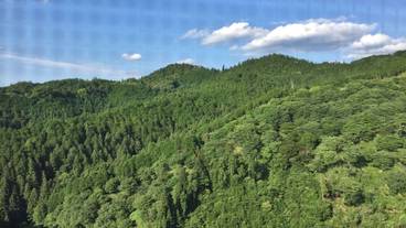 マウンテン ビュー / 25