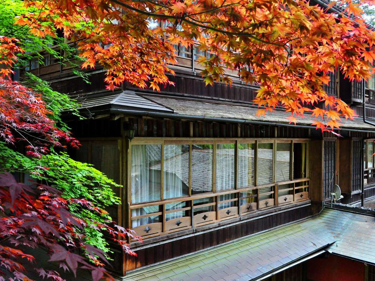 露天風呂付き客室が嬉しい!登録有形文化財の旅館で寛ぎの時間を4269567